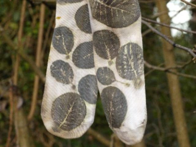 Chaussettes en fibre naturel de bamboo avec impression botanique pour femmes